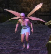 Depiction of a sylph in Neverwinter Nights 2.