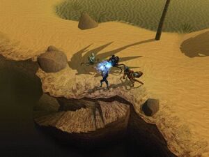 The student of Drogan explores the Anauroch desert.