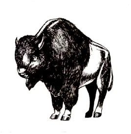 Buffalo