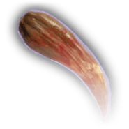 A worg's fang.