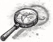 A magnifying glass.
