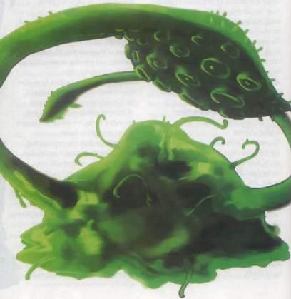 5e green slime dmg