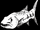Barracuda