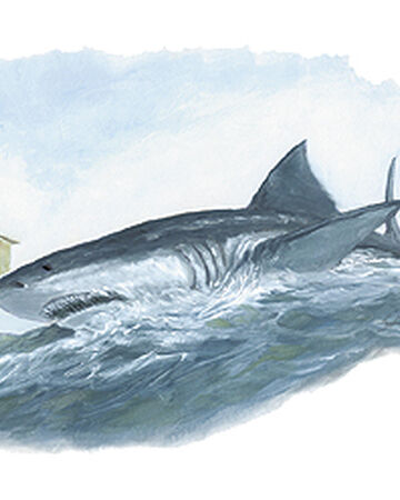 Megalodon Forgotten Realms Wiki Fandom Megalodon Forgotten Realms Wiki Fandom