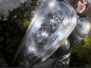 Paladin's Shield