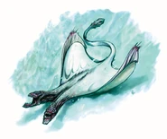 An alternate depiction of a snowcloak from Frostburn.