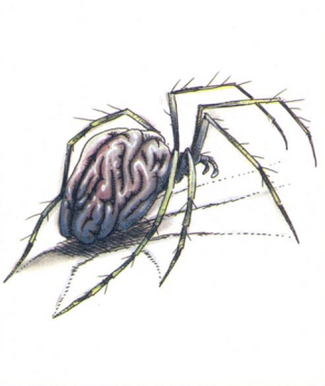 Unique spiders 🕷️ - Proof of Brain