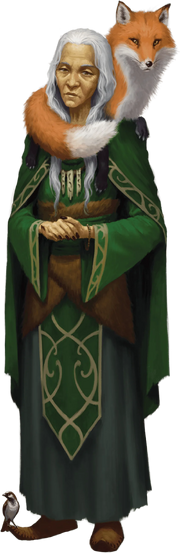 Reidoth-the-druid