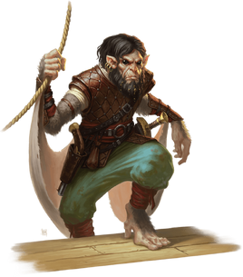 5e