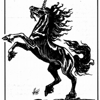 Black Unicorn Forgotten Realms Wiki Fandom See more ideas about black unicorn, fantasy horses, unicorn art. black unicorn forgotten realms wiki