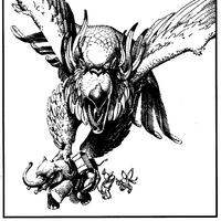Zakharan Roc Forgotten Realms Wiki Fandom Sure, a roc's int is low (3), but eagles do this in real life (just ask om and in d&d they have an int of 2. zakharan roc forgotten realms wiki