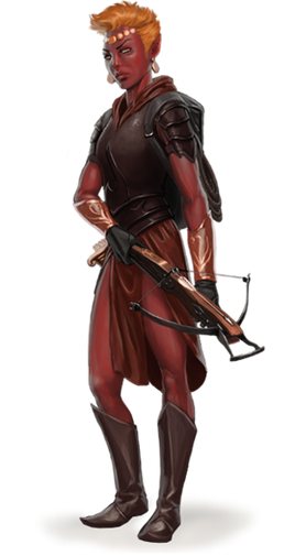 5e