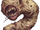 Garmorm.gif