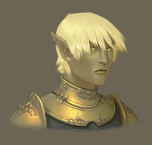 Sun elf male