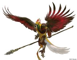 Aarakocra ToA