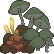 Mushrooms from the Mount Tiamat.