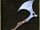 Throwing axe.png