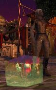 A rare trained pet gelatinous cube with its owner on the streets of Neverwinter.