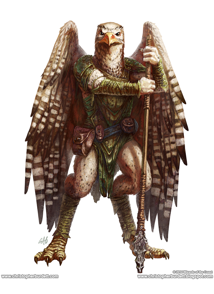 The Aarakocra Race for Dungeons & Dragons (D&D) Fifth Edition (5e) - D&D  Beyond