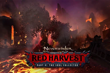 D&D Neverwinter Fury Of The Feywild – Press Kit Promo – PC – Version Française