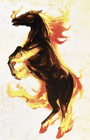 Nightmare practical guide