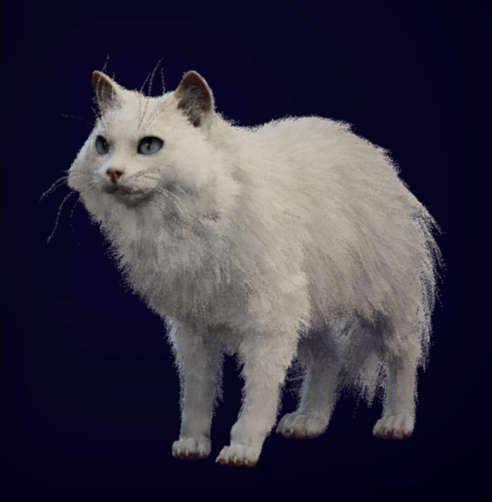 Tambourine (cat) Realms Wiki Fandom