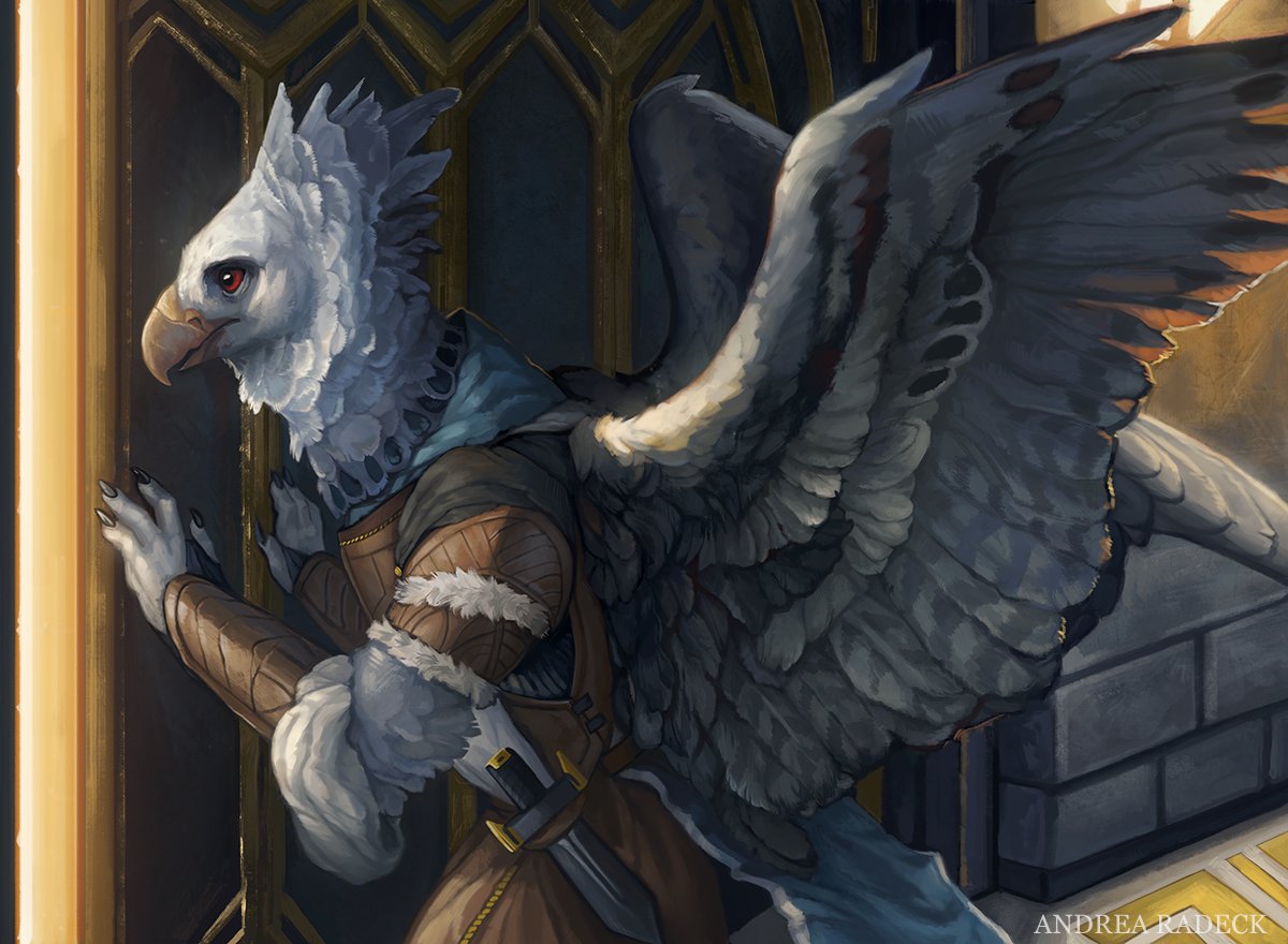 The Aarakocra Race for Dungeons & Dragons (D&D) Fifth Edition (5e) - D&D  Beyond