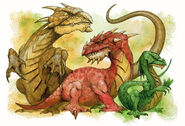 Left to right: desert, hill, and forest landwyrms.
