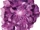 Psi crystal