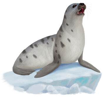 Seal | Forgotten Realms Wiki | Fandom