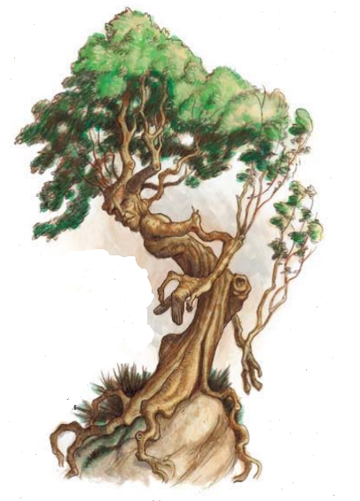 d&d treant character d&d treant character