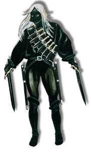 A priest of Vhaeraun.