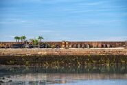 Dressed-up Carrickfergus Castle dock (courtesy PhotoGraft).