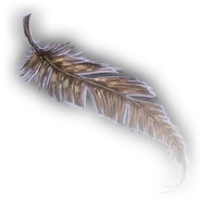 Pegasus feather.
