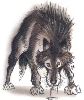 DreadWolf