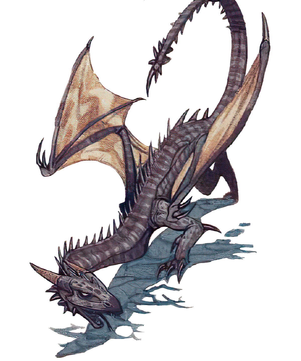 Races of the Dragon, Forgotten Realms Wiki