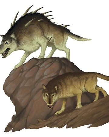 Wolf Forgotten Realms Wiki Fandom Traits keen hearing and smell: wolf forgotten realms wiki fandom