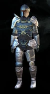 A divine champion in his ceremonial heavy armor.