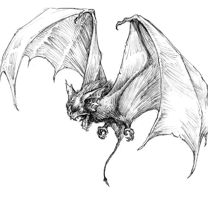 d&d dire bat d&d dire bat