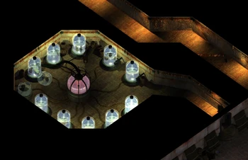 The cloning labs found within .