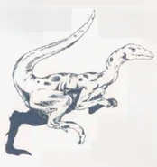 Picture of a Compsognathus.[11]
