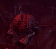 Us as the fully grown and adorable intellect devourer.