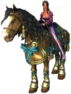 An Amphail fancy adorned in high quality horse tack made by the Eagleshields.