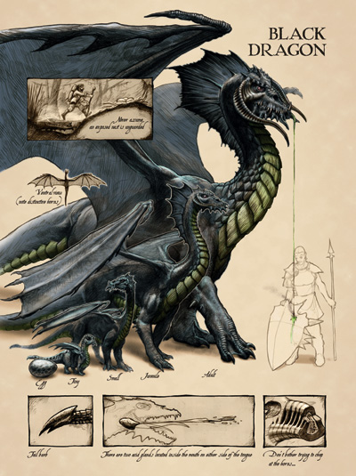 art from black dragons