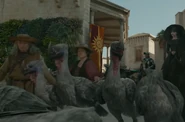 Honor-Among-Thieves-Axe-Beaks.png (902 KB) A flock of axe beaks in Neverwinter as the wizard Sofina hunted the druid Doric, who was hidden amongst the birds in Wild shape.
