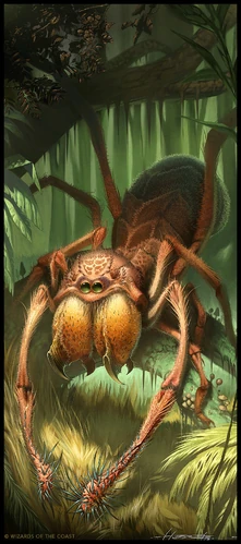 Giant spider | Forgotten Realms Wiki | Fandom