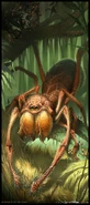 MM5e concept giant spider.jpg (1,018 KB) A hairy giant spider.