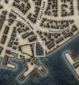 Shaliber's Ship