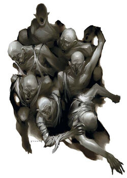 Soulshells