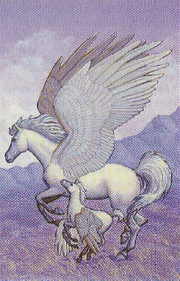 Pegasus